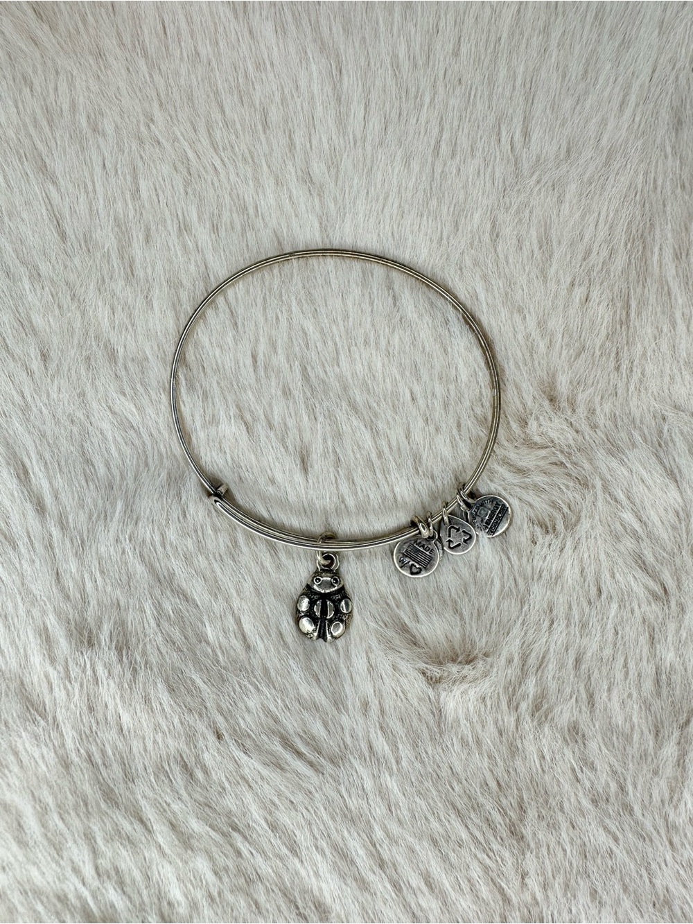 Alex and Ani Ladybug Charm Bangle in a Rafaelian Silver finish
